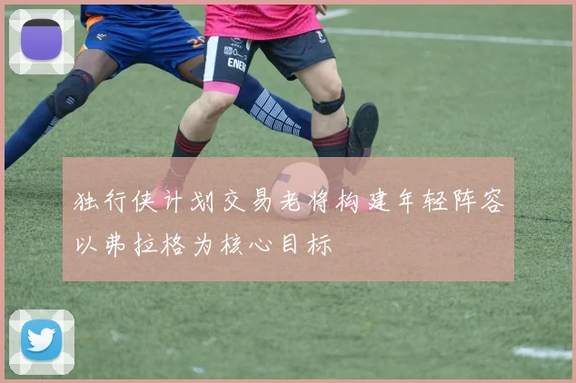 独行侠计划交易老将构建年轻阵容以弗拉格为核心目标
