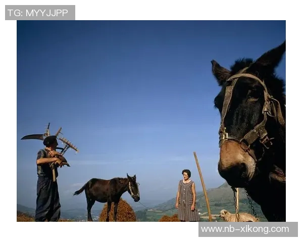 19岁葡萄牙边锋瓦雷拉即将加盟乔治罗尼亚引发关注